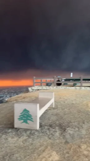 Çıkan Yangınlar Sonrası Los Angeles!