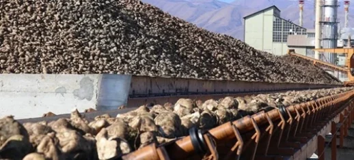 Iğdır Şeker Fabrikası, Arslantürk Petrol Enerji'ye Satılıyor!