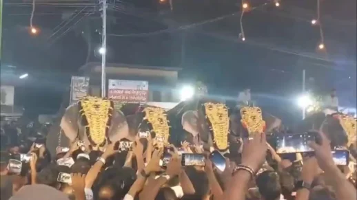 Hindistan'daki Puthiyangadi Festivali'nde Fil Saldırısı: 1'i Ağır 17 Yaralı!